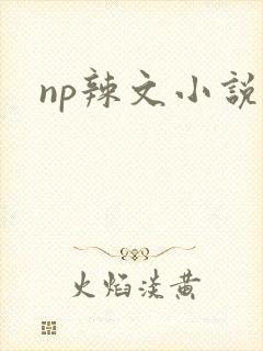 np辣文小说