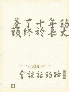 养了十年的小丫头终于长大了