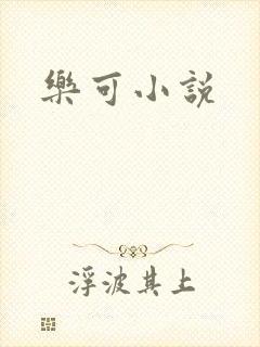 乐可小说封面