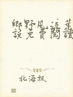 乡野风流叶凡小说免费阅读