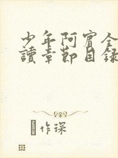 少年阿宾全文阅读章节目录