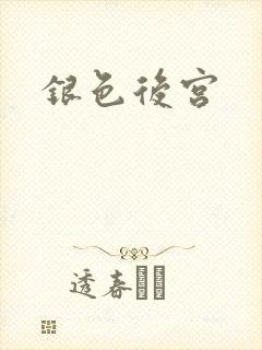 银色后宫