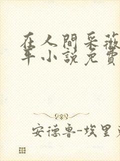 在人间采薇陆三平小说免费阅读封面