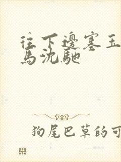 往下边塞玉器骑马沈驰