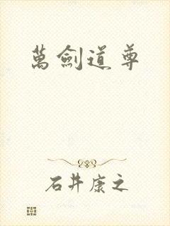 万剑道尊封面