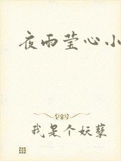 夜雨莹心小说