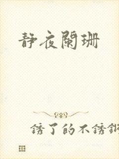 静夜阑珊