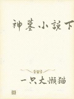 神墓小说下载