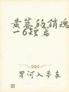 黄蓉的销魂夜1一6短篇封面