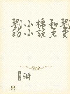 刘小棉和刘易文的小说免费阅读