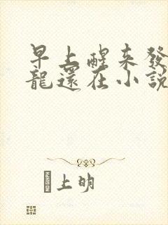 早上醒来发现巨龙还在小说封面