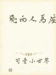 飞向人马座