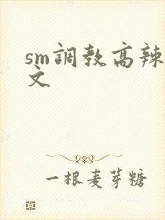 sm调教高辣h文