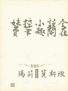 妹控小说全文免费笔趣阁在线阅读