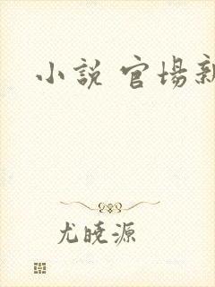 小说 官场新贵