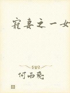 宠妻之一女二夫封面