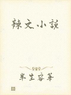 辣文小说