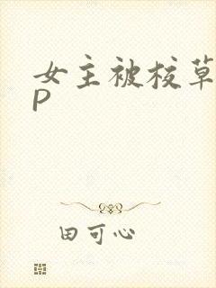 女主被校草们NP