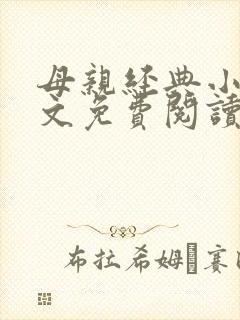 母亲经典小说全文免费阅读封面