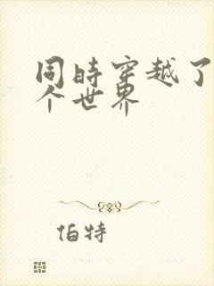 同时穿越了99个世界