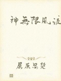 神无限风流封面