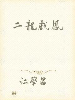 二龙戏凤