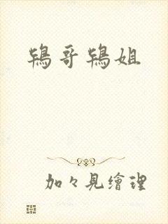 鸨哥鸨姐