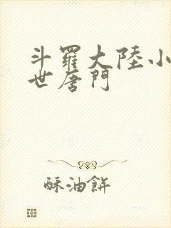 斗罗大陆小说绝世唐门封面