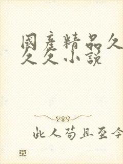 国产精品久久久久久小说