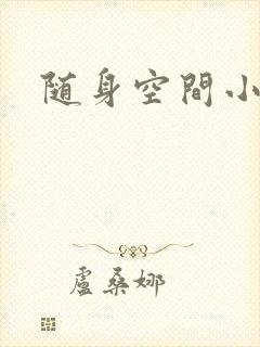 随身空间小说