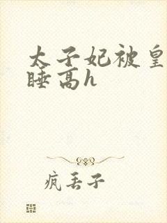 太子妃被皇上强睡高h封面