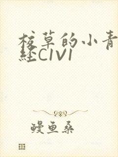 校草的小青梅不经C1V1