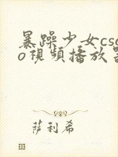 暴躁少女csgo视频播放器推荐