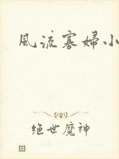 风流寡妇小说