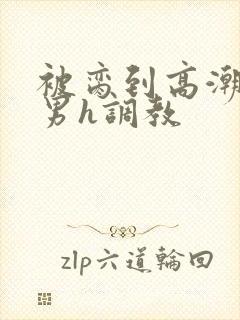 被脔到高潮的直男h调教