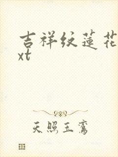 吉祥纹莲花楼txt封面