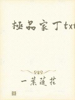 极品家丁txt