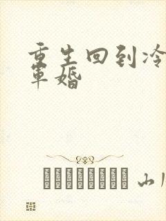 重生回到冷战前军婚