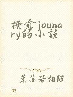 撩愈jounary的小说封面
