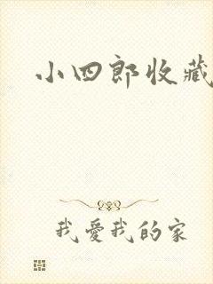 小四郎收藏家封面