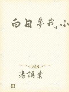 白日梦我小说封面