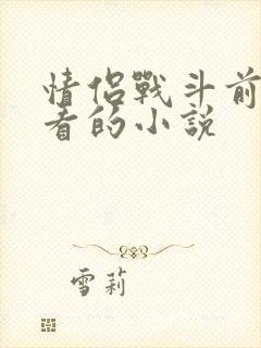 情侣战斗前适合看的小说