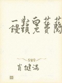 一对白花花的大馒头免费阅读封面