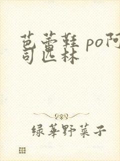 芭蕾鞋 po阿司匹林封面