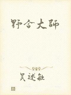 野合大师封面