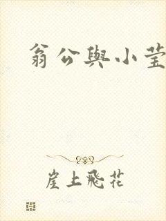 翁公与小莹封面