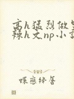 高h猛烈做哭高辣h文np小说