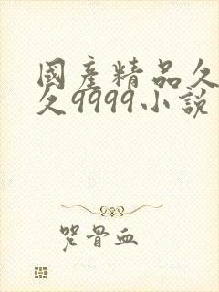 国产精品久久久久9999小说