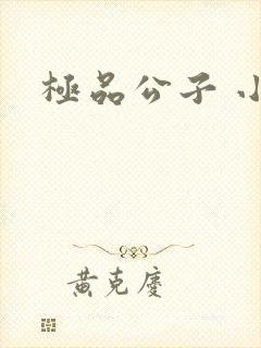 极品公子 小说封面