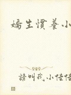 娇生惯养小说封面